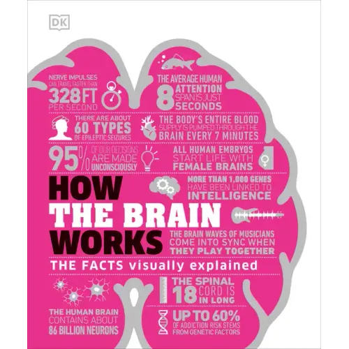 How the Brain Works: The Facts Visually Explained - Hardcover