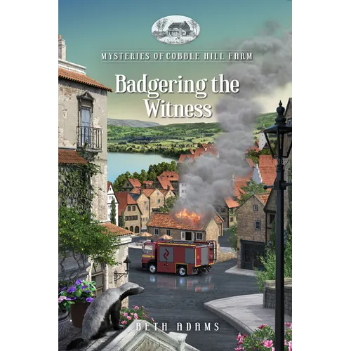 Badgering the Witness - Paperback