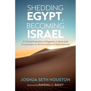 Shedding Egypt, Becoming Israel - Paperback