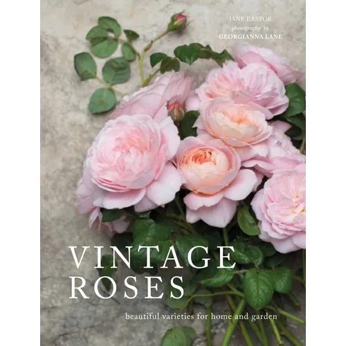 Vintage Roses: Beautiful Varieties for Home and Garden - Hardcover