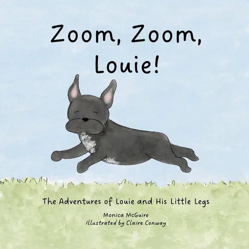 Zoom, Zoom, Louie! - Paperback