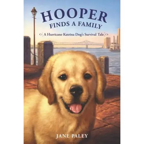 Hooper Finds a Family: A Hurricane Katrina Dog's Survival Tale - Paperback