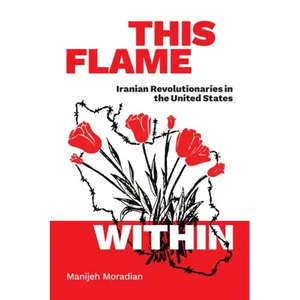 This Flame Within: Iranian Revolutionaries in the United States - Paperback