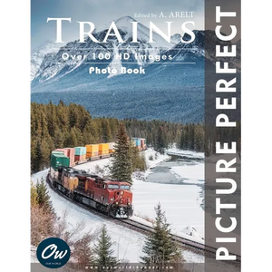Trains: Picture Perfect Photo Book - Paperback
