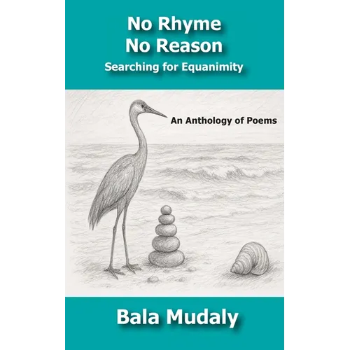 No Rhyme No Reason: Searching for Equanimity - Paperback