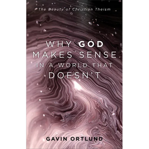 Why God Makes Sense in a World That Doesn't: The Beauty of Christian Theism - Paperback