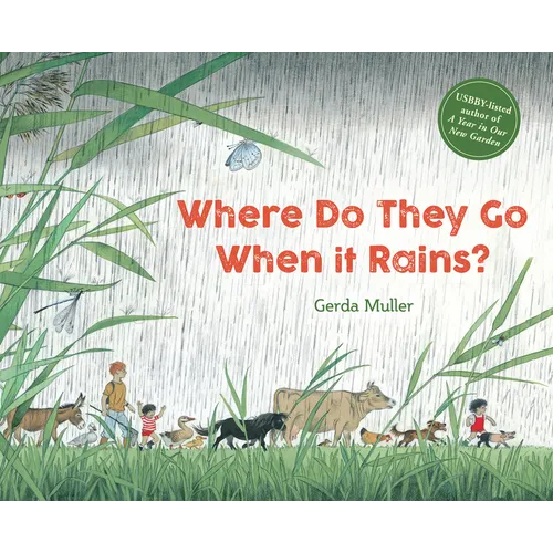 Where Do They Go When It Rains? - Hardcover