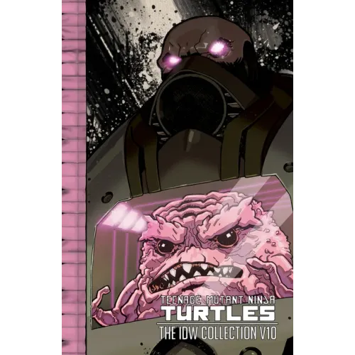 Teenage Mutant Ninja Turtles: The IDW Collection Volume 10 - Hardcover