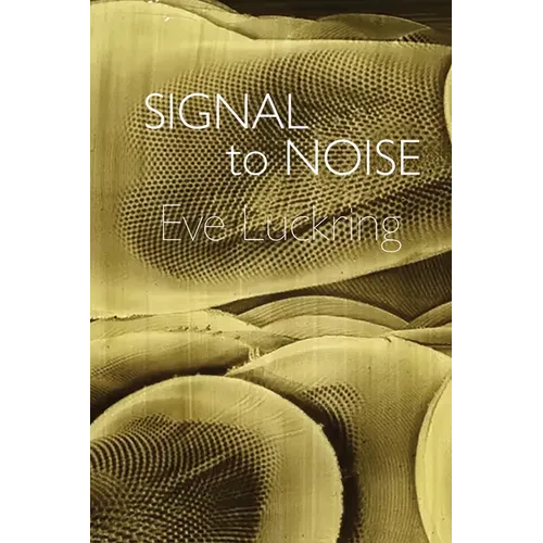 Signal to Noise - Paperback