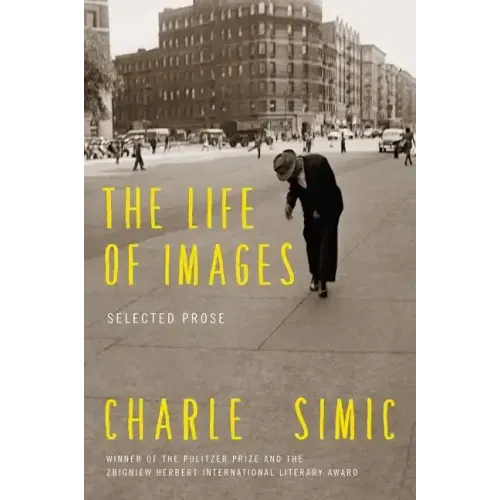 The Life of Images: Selected Prose - Paperback