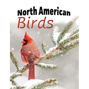 North American Birds - Paperback