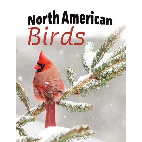 North American Birds - Paperback