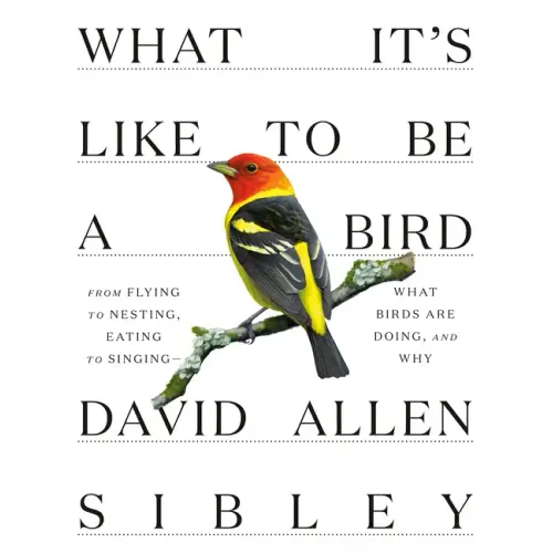 What It's Like to Be a Bird: From Flying to Nesting, Eating to Singing--What Birds Are Doing, and Why - Hardcover