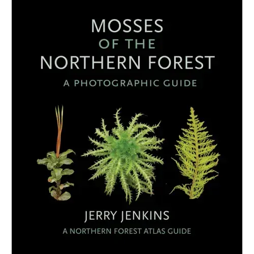 Mosses of the Northern Forest: A Photographic Guide - Paperback