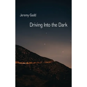 Driving Into the Dark - Paperback