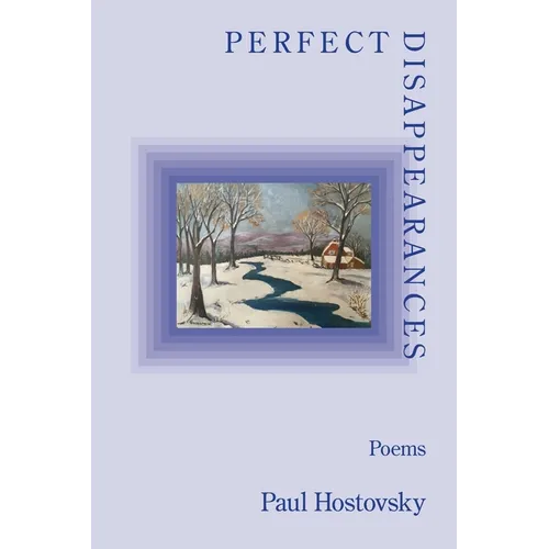 Perfect Disappearances - Paperback