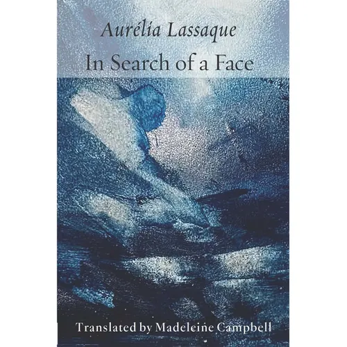 In Search of a Face - Paperback