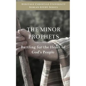The Minor Prophets: Battling for the Hearts of God's People - Paperback