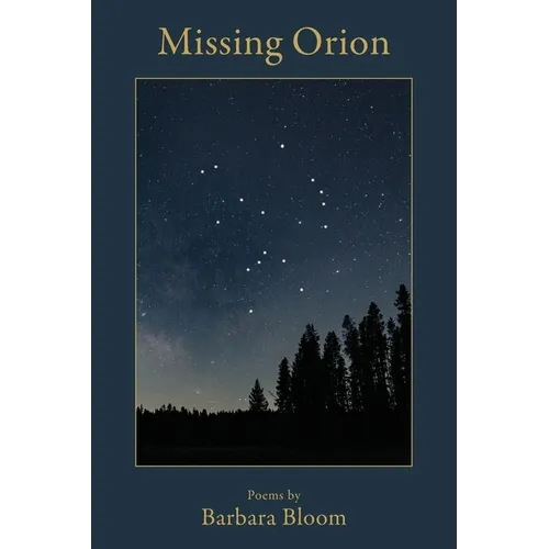 Missing Orion - Paperback