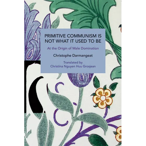 Primitive Communism Is Not What It Used to Be: At the Origin of Male Domination - Paperback