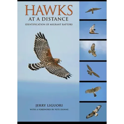Hawks at a Distance: Identification of Migrant Raptors - Paperback