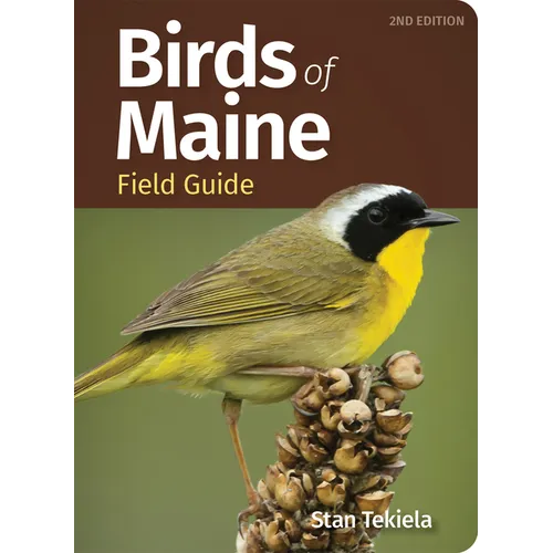 Birds of Maine Field Guide - Paperback