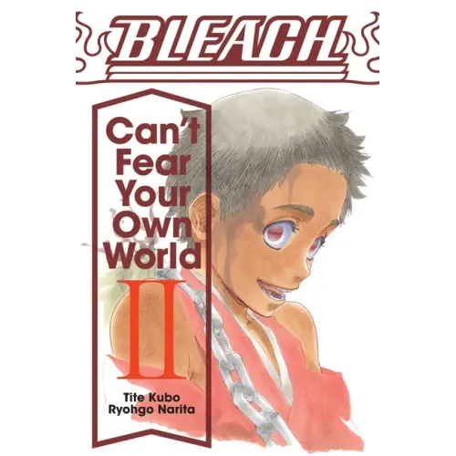 Bleach: Can't Fear Your Own World, Vol. 2