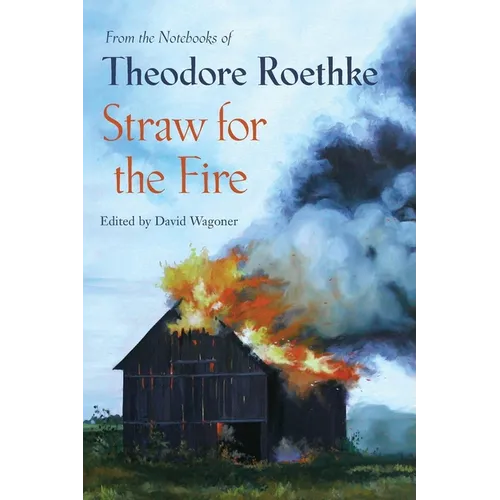 Straw for the Fire: From the Notebooks of Theodore Roethke 1943-63 - Paperback