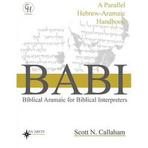 Biblical Aramaic for Biblical Interpreters: A Parallel Hebrew-Aramaic Handbook - Paperback