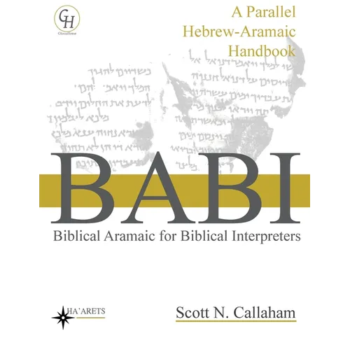 Biblical Aramaic for Biblical Interpreters: A Parallel Hebrew-Aramaic Handbook - Paperback