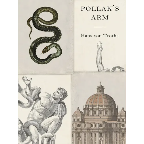 Pollak's Arm - Paperback
