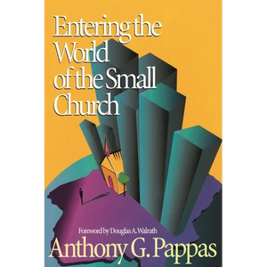 Entering the World of the Small Church - Paperback