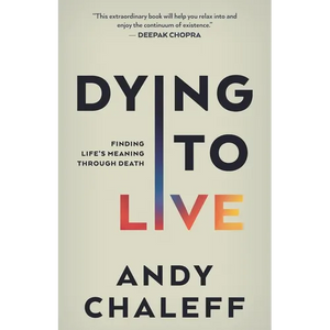 Dying to Live: Finding Life's Meaning Through Death - Paperback