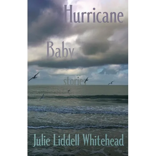 Hurricane Baby: Stories - Paperback