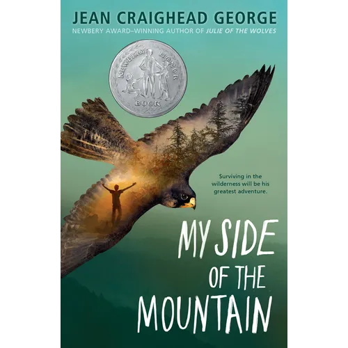My Side of the Mountain - Paperback