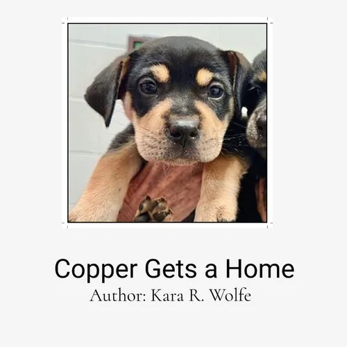 Copper Gets a Home: A Decodable Text - Paperback