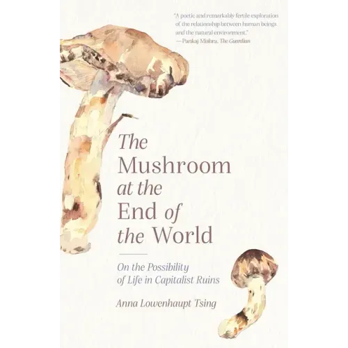 The Mushroom at the End of the World: On the Possibility of Life in Capitalist Ruins - Paperback