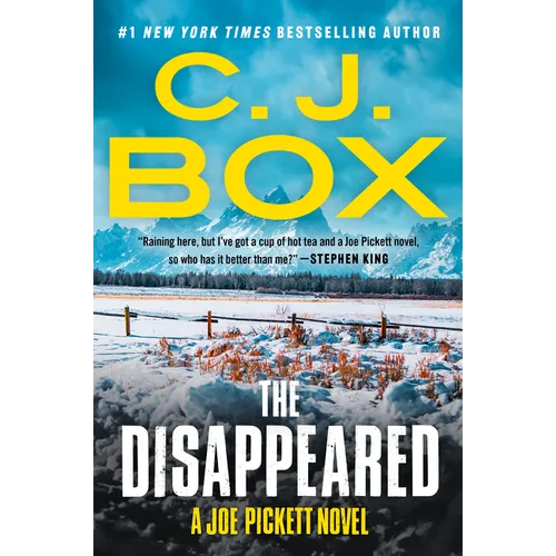 The Disappeared - Paperback