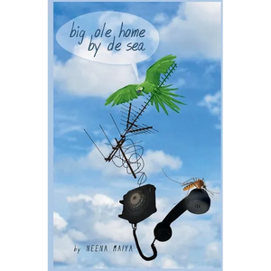 Big Ole Home By De Sea - Paperback