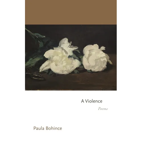 A Violence: Poems - Paperback