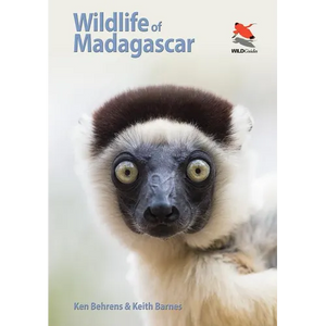 Wildlife of Madagascar - Paperback