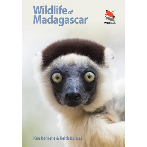 Wildlife of Madagascar - Paperback