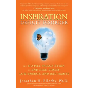 Inspiration Deficit Disorder - Paperback