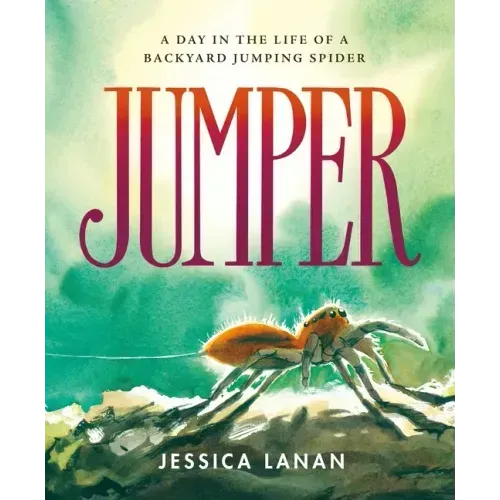 Jumper: A Day in the Life of a Backyard Jumping Spider - Hardcover