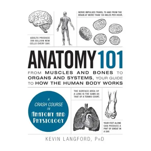 Anatomy 101: From Muscles and Bones to Organs and Systems, Your Guide to How the Human Body Works - Hardcover
