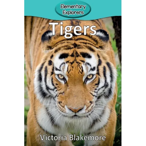 Tigers - Paperback