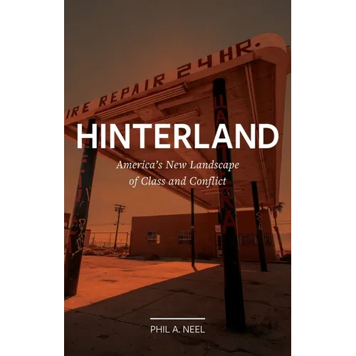 Hinterland: America's New Landscape of Class and Conflict - Paperback