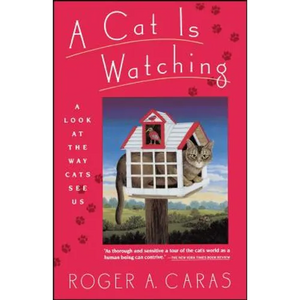 Cat Is Watching - Paperback