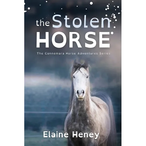 The Stolen Horse - Dyslexia Friendly - Paperback