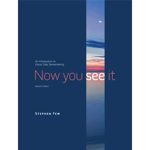 Now You See It: An Introduction to Visual Data Sensemaking - Hardcover